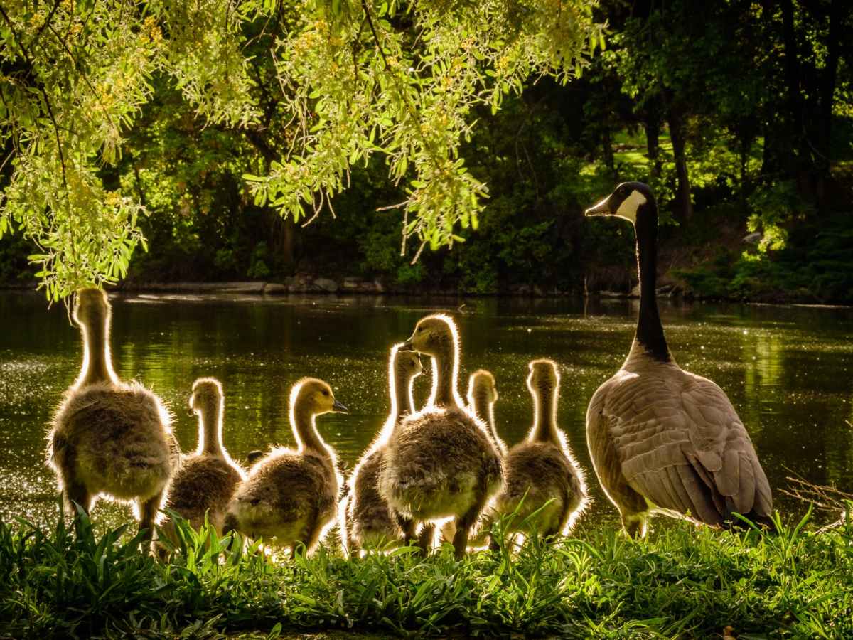 All in the&nbsp;Family…